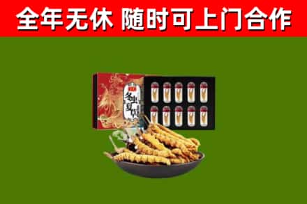 郫都区烟酒回收冬虫夏草礼盒.jpg